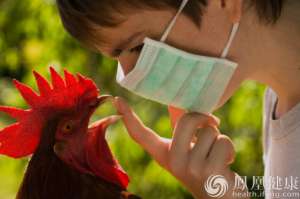 北京疾控中心10招教你预防H7N9禽流感