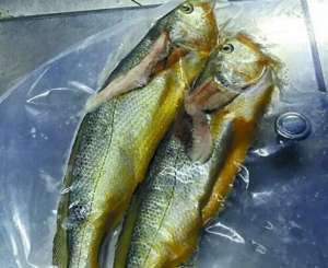 两条小黄鱼被收取4628元 涉事餐馆被罚5000元