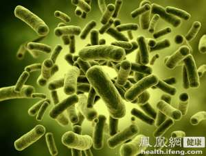 中国发现首例输入性黄热病病例