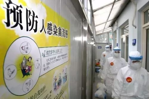 李克强谈应对H7N9疫情：公开透明是谣言的天敌